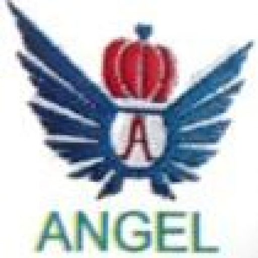 ANGEL CLEARING & FORWARDING AGENCY